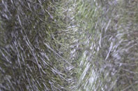 Ochiltree fibreglass roof work